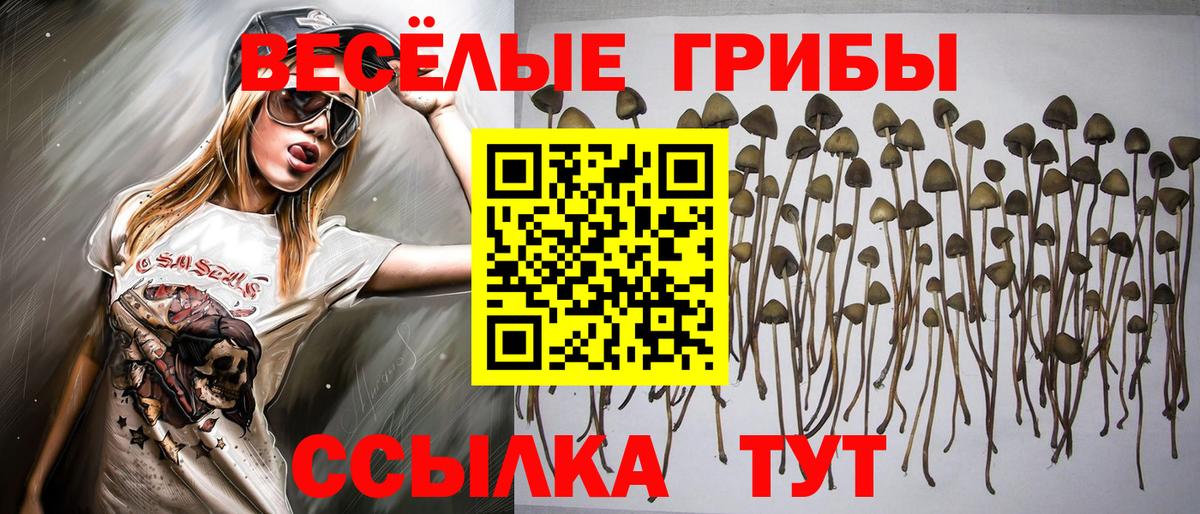 Великий Новгород  Галлюциногенные грибы Psilocybine cubensis  сколько стоит  Галлюциногенные грибы мухоморы  Вход с VPN 